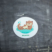 Plantish - Pop Up Sponge NEW!