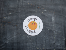 Plantish - Pop Up Sponge NEW!