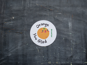 Plantish - Pop Up Sponge NEW!