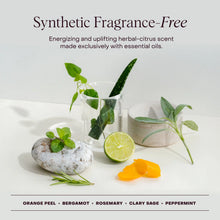 Everist - The Deep Conditioning Concentrate NEW!