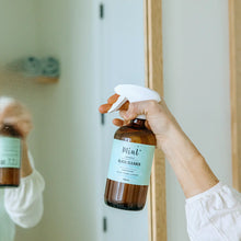 Mint Cleaning Products - Glass Cleaner