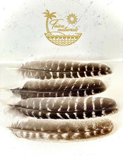 Smudging Feathers