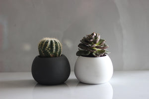 Scents by Fay - Tealight Holder + Succulent Pot NEW!