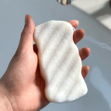 Plantish - Konjac Body Sponge NEW!