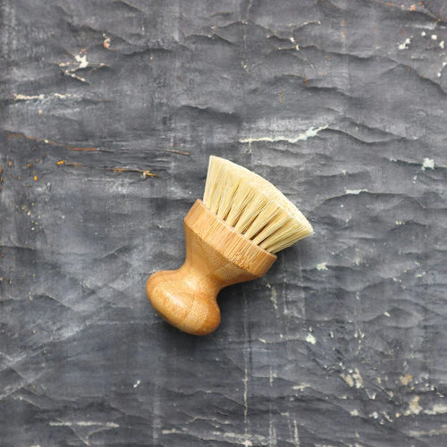 Plantish - Sisal Gentle Dish Brush NEW!