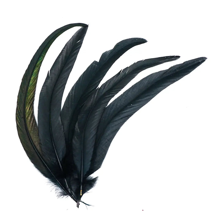 Black Smudging Feathers