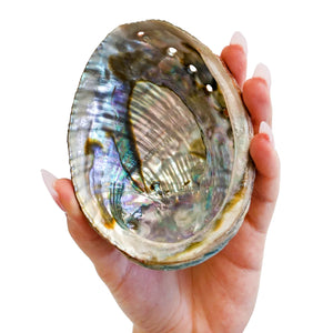 Faiza Naturals - Abalone Shell Smudge Bowls