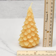 Honey Candles - Beeswax Yule Tree Candle