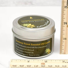 Honey Candles - Beeswax Candle Tins