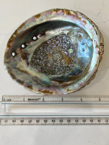 Faiza Naturals - Abalone Shell Smudge Bowls NEW!