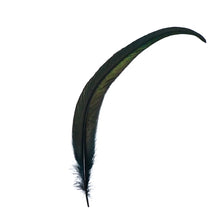 Black Smudging Feathers