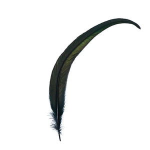 Black Smudging Feathers